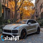 تعمیرگاه تیگو